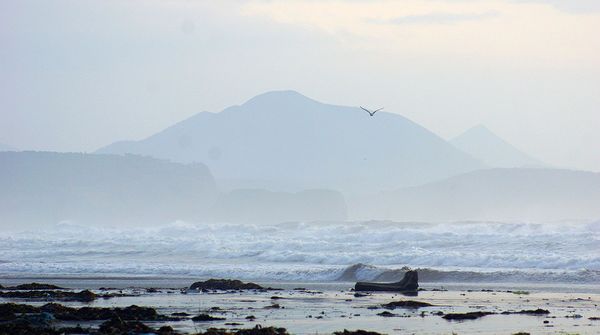 Кунашир. Берег Тихого океана