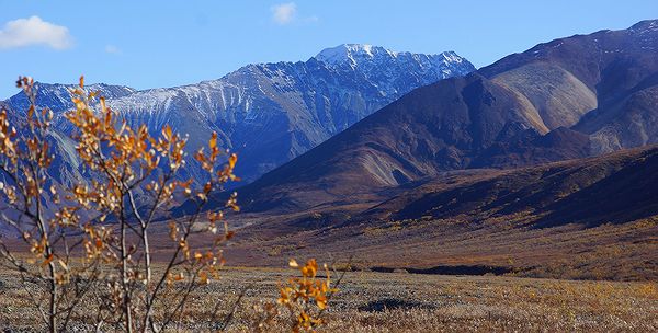 Осень в Денали