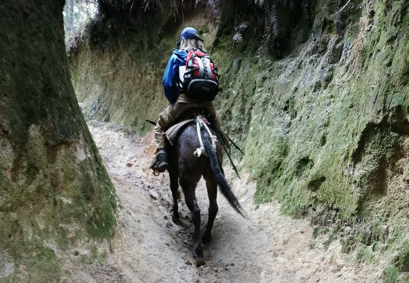 Подъем по раскисшей глине