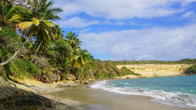  Дикий пляж национального парка Кабо-Франсес-Вьехо