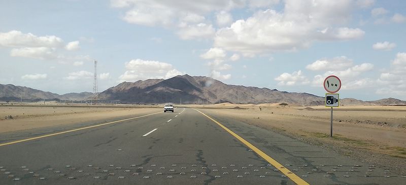 Знак ограничения скорости в 100 км/час