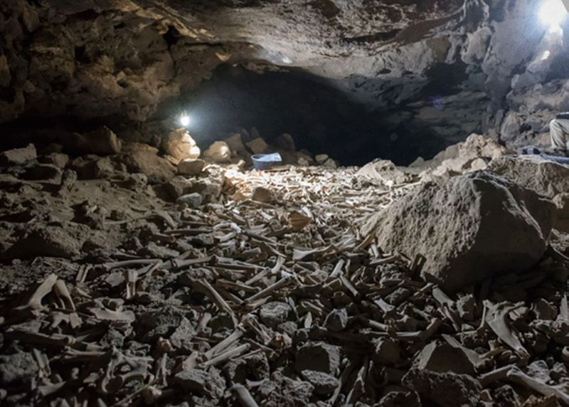 Фото из отчета немецкой экспедиции 2021 г.