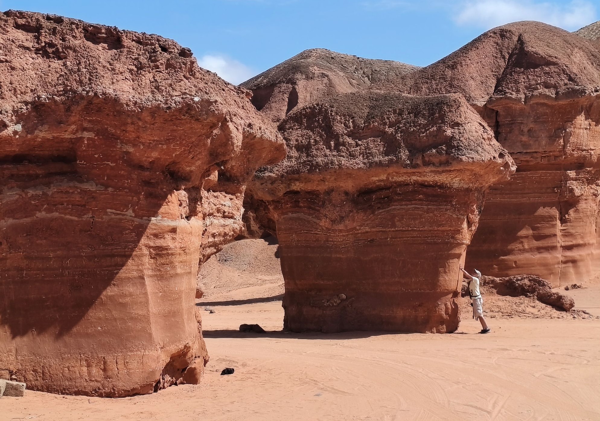 Каменные грибы