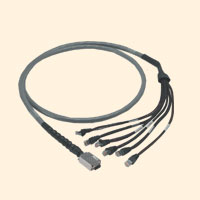 Разветвительный кабель MRJ21–RJ45